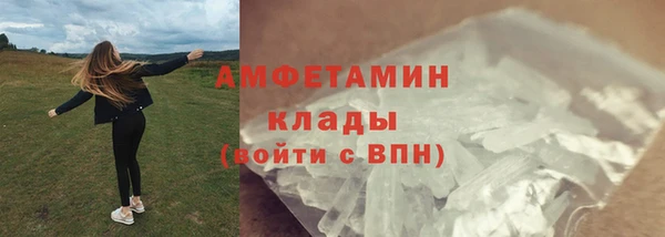 PSILOCYBIN Балабаново