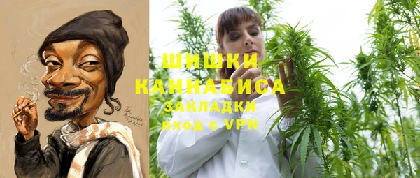 PSILOCYBIN Балабаново
