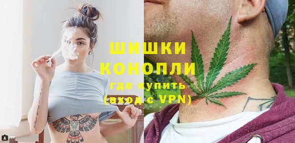 PSILOCYBIN Балабаново