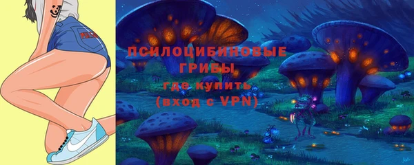 PSILOCYBIN Балабаново